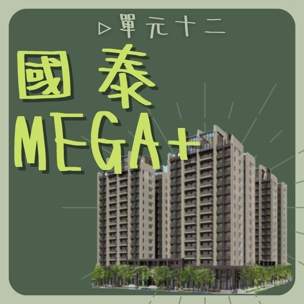國泰Mega_.jpg